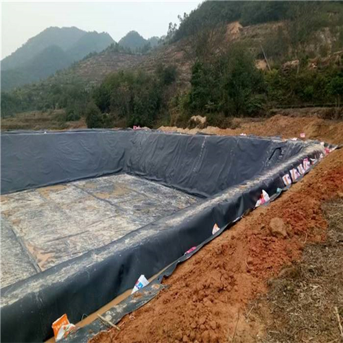 您了解魚塘防滲膜施工方法有哪些嗎？